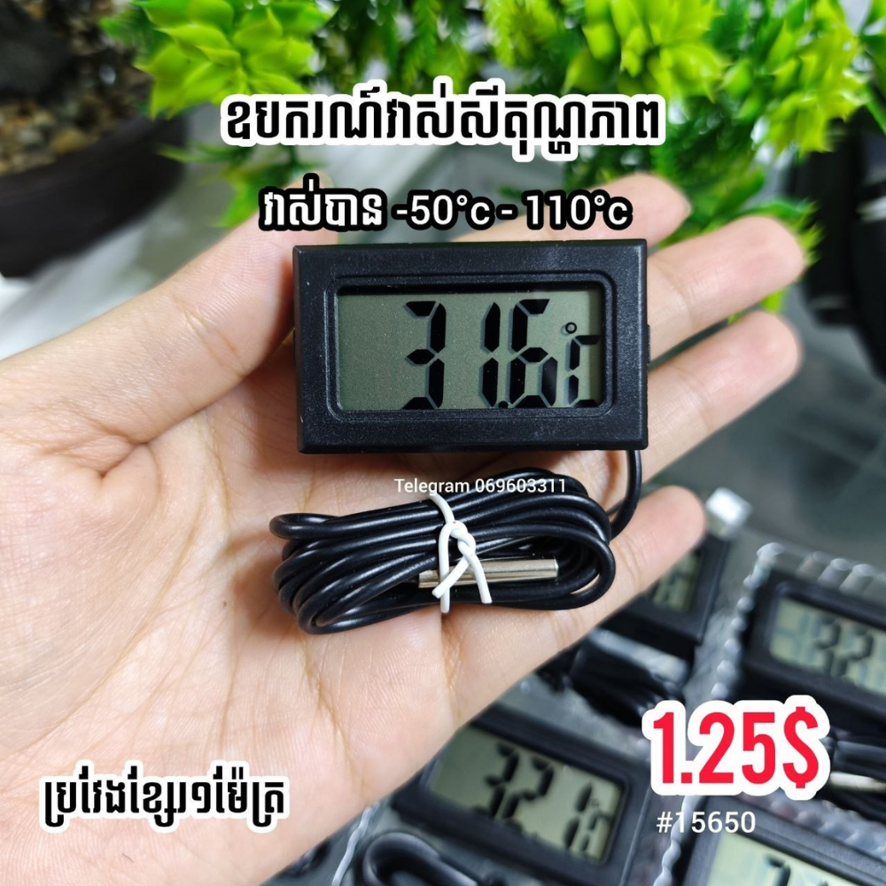 LCD Digital Thermometer