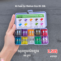 Fuse Car Medium 2A-35A 100PCS 10-Type